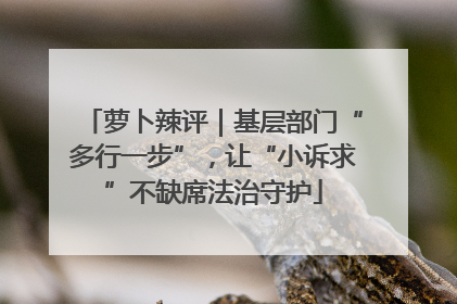 萝卜辣评｜基层部门“多行一步”，让“小诉求”不缺席法治守护