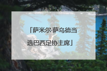 萨米尔·萨乌德当选巴西足协主席