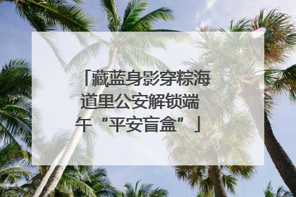 藏蓝身影穿粽海 道里公安解锁端午“平安盲盒”