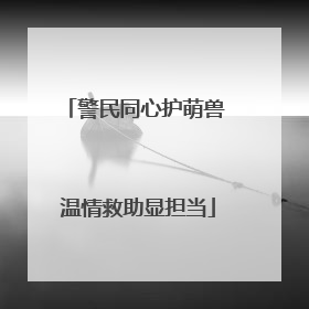 警民同心护萌兽 温情救助显担当
