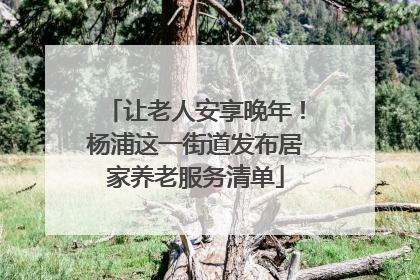 让老人安享晚年！杨浦这一街道发布居家养老服务清单