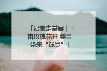 记者走基层｜千亩玫瑰花开 美景带来“钱景”