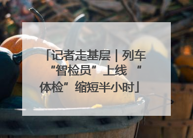 记者走基层｜列车“智检员”上线 “体检”缩短半小时