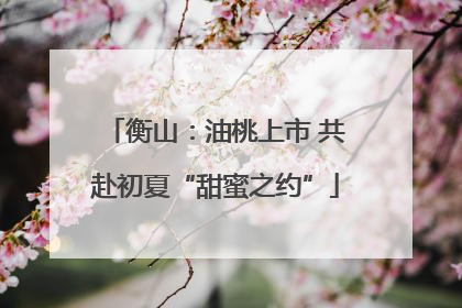 衡山：油桃上市 共赴初夏“甜蜜之约”