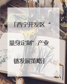 西宁开发区“量身定制”产业链发展策略