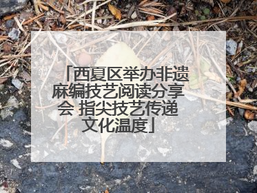 西夏区举办非遗麻编技艺阅读分享会 指尖技艺传递文化温度