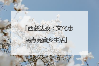 西藏达孜：文化惠民点亮藏乡生活