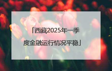 西藏2025年一季度金融运行情况平稳