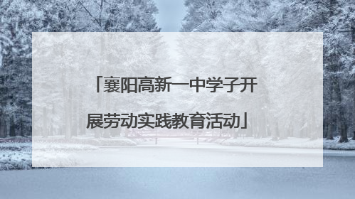 襄阳高新一中学子开展劳动实践教育活动