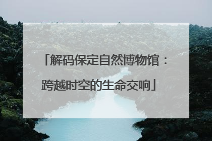解码保定自然博物馆：跨越时空的生命交响