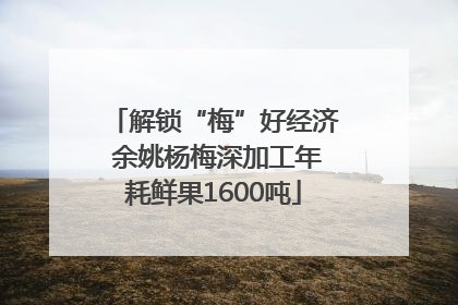 解锁“梅”好经济 余姚杨梅深加工年耗鲜果1600吨