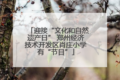 迎接“文化和自然遗产日” 郑州经济技术开发区肖庄小学有“节目”