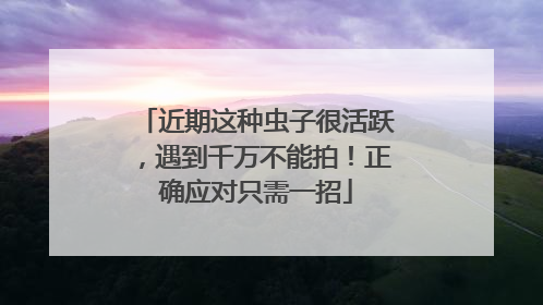 近期这种虫子很活跃，遇到千万不能拍！正确应对只需一招