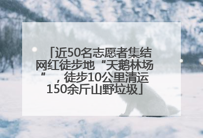 近50名志愿者集结网红徒步地“天鹅林场”，徒步10公里清运150余斤山野垃圾