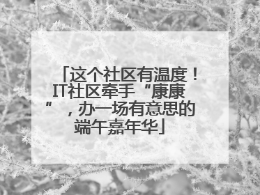 这个社区有温度！IT社区牵手“康康”，办一场有意思的端午嘉年华