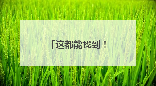 这都能找到！威海的这个村子发现水杉秘境