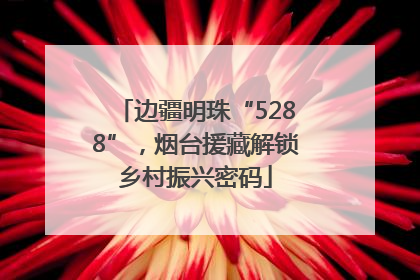 边疆明珠“5288”，烟台援藏解锁乡村振兴密码