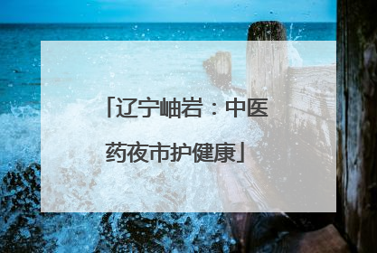 辽宁岫岩：中医药夜市护健康