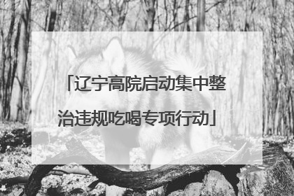辽宁高院启动集中整治违规吃喝专项行动