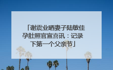 谢震业晒妻子陆敏佳孕肚照官宣喜讯：记录下第一个父亲节