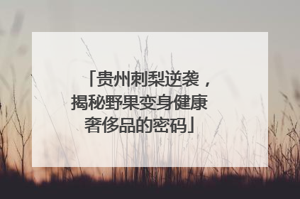 贵州刺梨逆袭，揭秘野果变身健康奢侈品的密码