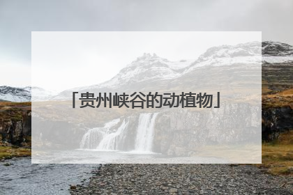 贵州峡谷的动植物