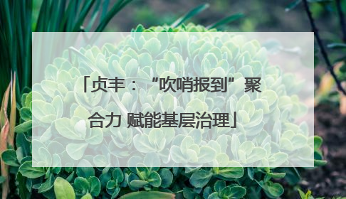 贞丰：“吹哨报到”聚合力 赋能基层治理