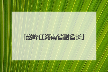 赵峰任海南省副省长