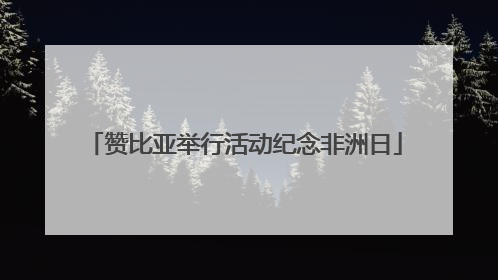赞比亚举行活动纪念非洲日