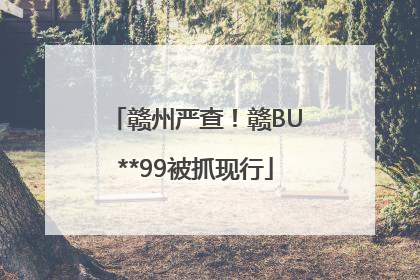 赣州严查！赣BU**99被抓现行