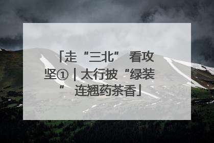走“三北” 看攻坚①｜太行披“绿装” 连翘药茶香