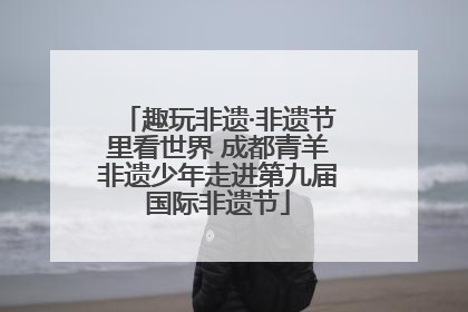 趣玩非遗·非遗节里看世界 成都青羊非遗少年走进第九届国际非遗节