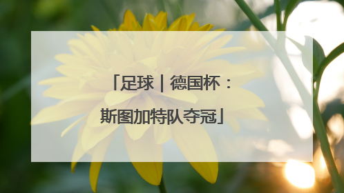 足球｜德国杯：斯图加特队夺冠