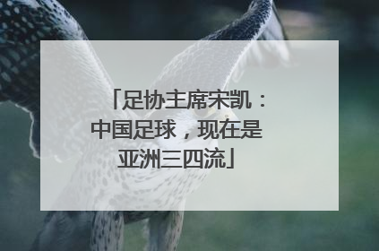 足协主席宋凯：中国足球，现在是亚洲三四流