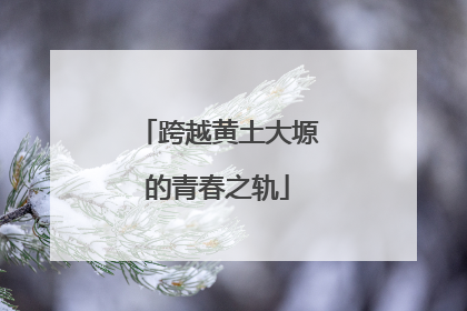 跨越黄土大塬的青春之轨