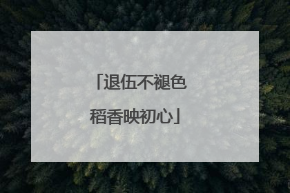 退伍不褪色 稻香映初心