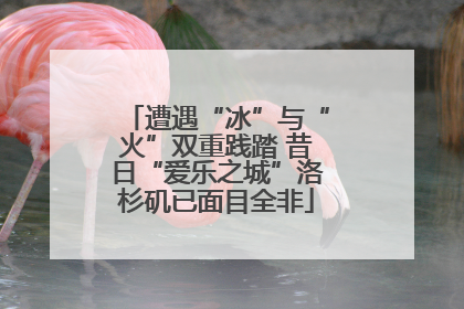 遭遇“冰”与“火”双重践踏 昔日“爱乐之城”洛杉矶已面目全非