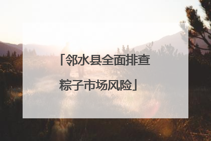 邻水县全面排查粽子市场风险