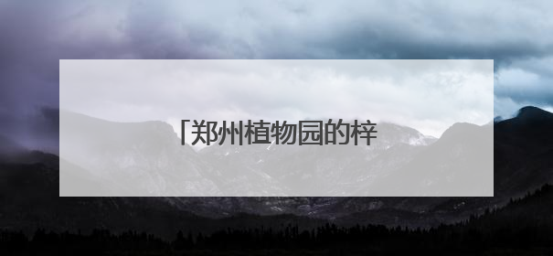 郑州植物园的梓树结“豆角”了
