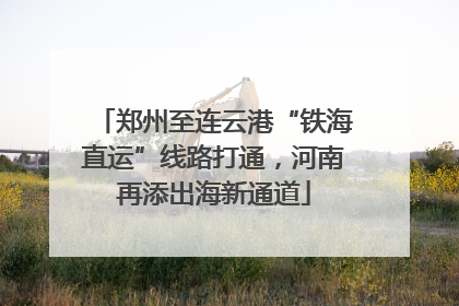 郑州至连云港“铁海直运”线路打通，河南再添出海新通道
