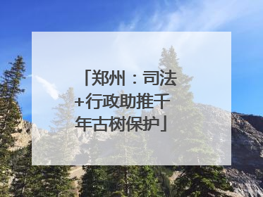 郑州：司法+行政助推千年古树保护