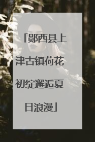 郧西县上津古镇荷花初绽邂逅夏日浪漫