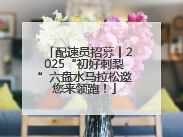 配速员招募丨2025“初好刺梨”六盘水马拉松邀您来领跑！