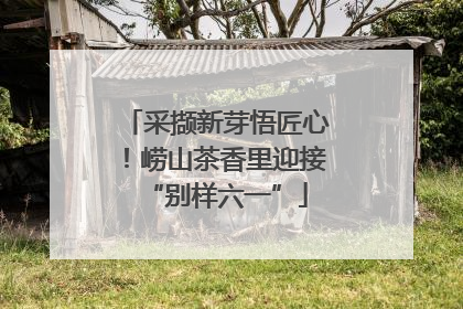 采撷新芽悟匠心！崂山茶香里迎接“别样六一”