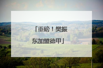 重磅！樊振东加盟德甲