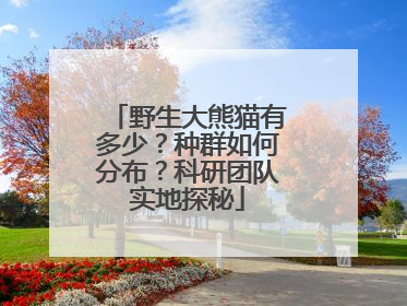 野生大熊猫有多少？种群如何分布？科研团队实地探秘