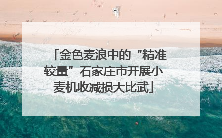 金色麦浪中的“精准较量”石家庄市开展小麦机收减损大比武