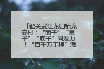 韶关武江龙归镇龙安村：“面子”“里子”“底子”同发力！“百千万工程”激活乡村新动能