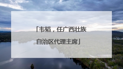 韦韬，任广西壮族自治区代理主席