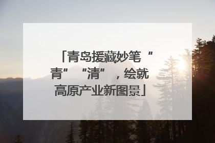 青岛援藏妙笔“青”“清”，绘就高原产业新图景